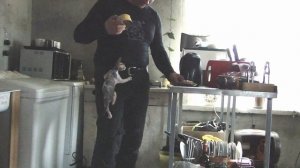 Из жизни сфинксов...2