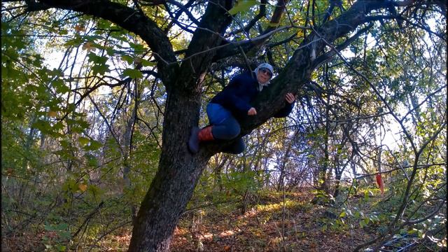 Высоко сижу , далеко гляжу ... смотреть онлайн