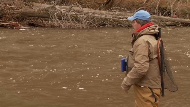 Using Deadly White Zonkers for Trout & Steelhead смотреть онлайн