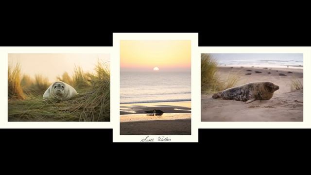 Ideas For Your Nature And Wildlife Photography In 2023