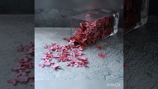 Процесс учеников МК сирень смотреть онлайн