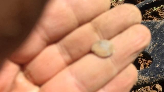 Поехали добирать распашку чешуи в надежде найти центр!!! смотреть онлайн