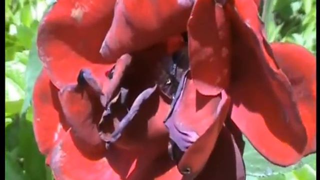 13 01 13 Рафтинг Турция смотреть онлайн