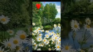 Это все Россия -это моя Родина