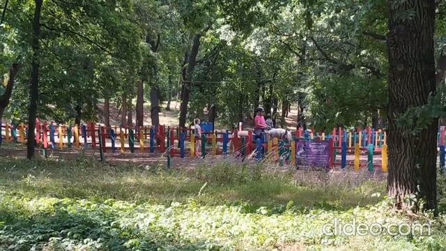 Катание на лошадях в Загородном парке г. #Самара смотреть онлайн