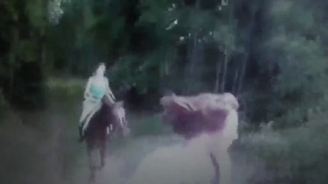 Music Piece ''Horse''. Музыкальная пьеса ''Лошадка'' смотреть онлайн