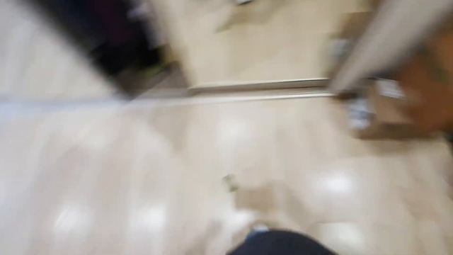 Воспитанный шпиц дарит коту весеннюю траву! смотреть онлайн