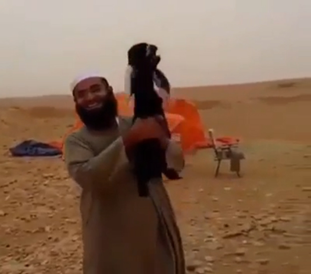 Овечка, скажи всем "Привет" смотреть онлайн