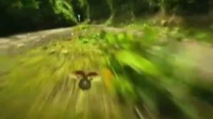 ПРИКЛЮЧЕНИЯ БОЖЬЕЙ КОРОВКИ. МУЛЬТИК