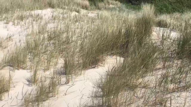 Лиепая -Liepāja 28.05.23. Музыка Сергея Чекалина , автор видео Natalija Žeigure #Latvija #Liepāja смотреть онлайн