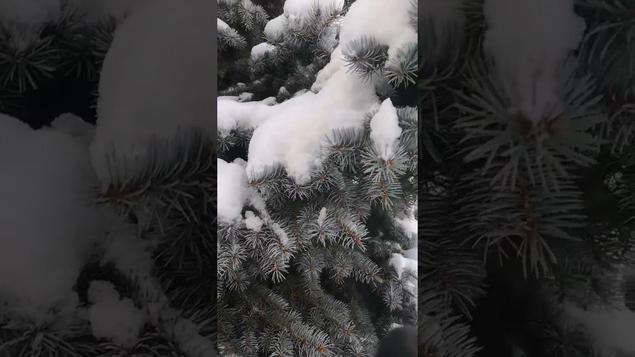 Зима пришла в город смотреть онлайн