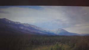 Ориентирование в лесу. Общие сведения