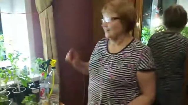 Живучий томат или хочешь жить-умей вертеться! смотреть онлайн