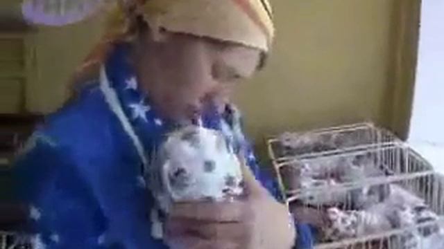 10 малышей за один день смотреть онлайн