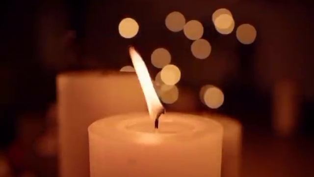 Самвел Адамян они готовы перегрызть друг другу глотки мисс вонг \ miss vong \ Saveliy Ad смотреть онлайн