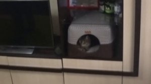 Я НЕ ОЖИДАЛ ТАКОГО ОТ МАКСА ВАЩЕНКО. Надеюсь это шутка.