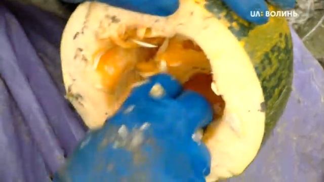 Вирощування гарбузів на Любомльщині смотреть онлайн