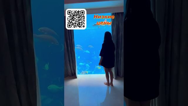 Ostrovok ru – это низкие цены и специальные предложения, огромный выбор отелей по всему миру #2024 смотреть онлайн