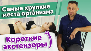 Короткие экстензоры шеи.
Как избавиться от боли в шее и плечах?