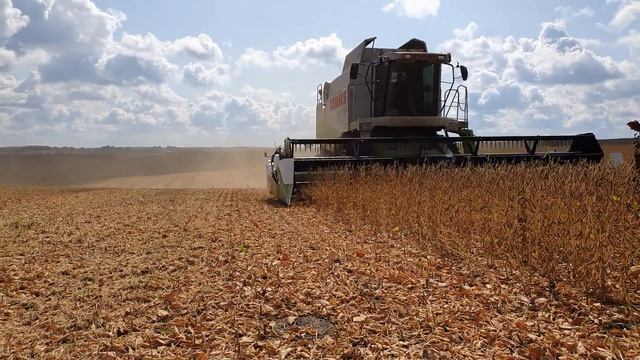 Уборка Сои жаткий MAANS МААНС смотреть онлайн