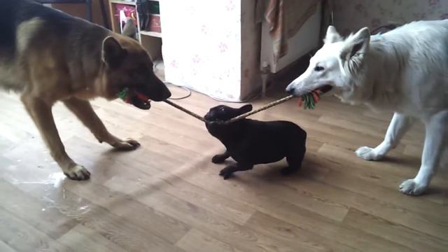 video 2017 05 01 13 37 32 смотреть онлайн