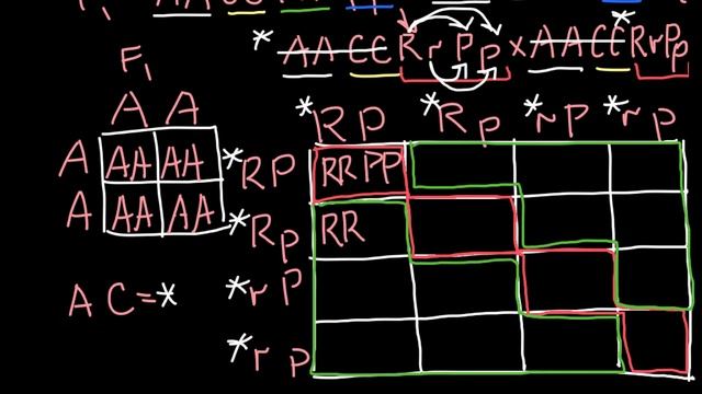 How To Solve Genotype Crossing Problems