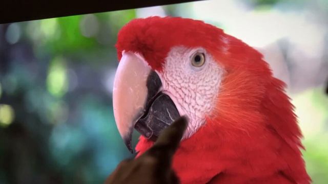 САМЫЙ ЯРКИЙ ПРОЕКТОР E700 Pro 14000 люм смотреть онлайн