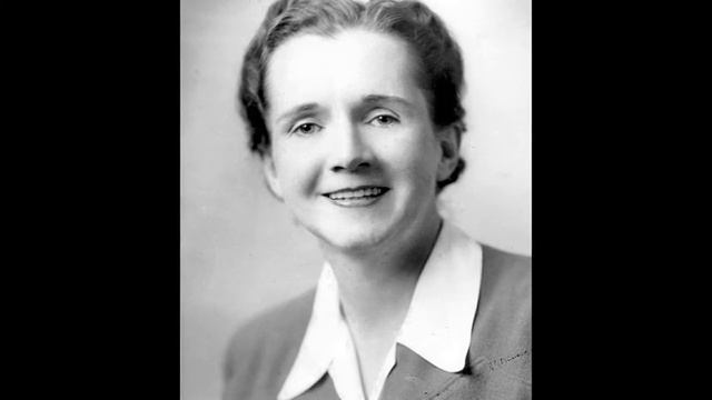 Rachel Louise Carson Google Doodle смотреть онлайн