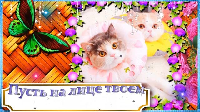 ?ЖЕЛАЮ ВАМ САМОГО НЕЖНОГО И ПУШИСТОГО ДОБРОГО УТРЕЧКА!? САМАЯ МИЛАЯ И НЯШНАЯ ОТКРЫТКА С КОТИКАМИ? смотреть онлайн