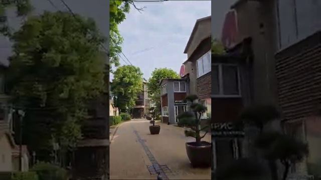 Город кошек, Зеленоградск смотреть онлайн