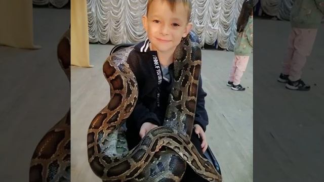это приложение которое я сделал это всё Поставь лайк смотреть онлайн