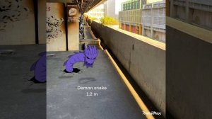 [Fan Made] Trevor Henderson Alternate Universe Giant Size Comparison PART 25