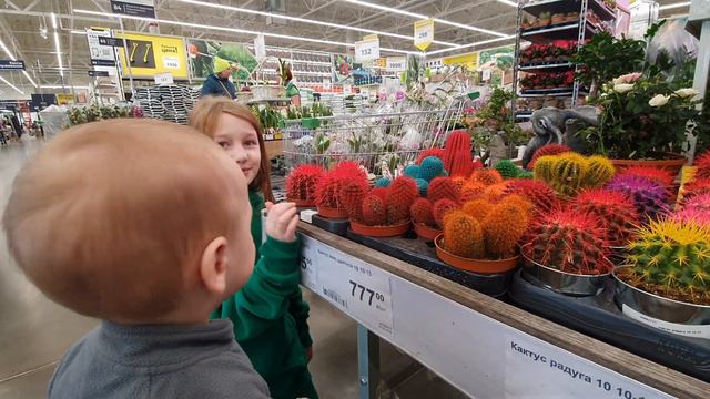 Эпизоды из жизни священника. Севернее, но теплее. В гостях у бабушки, в гостях в леруа )) смотреть онлайн