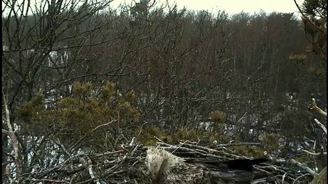 жить природой смотреть онлайн