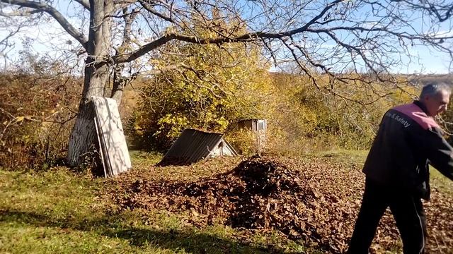 Борьба с листьями. смотреть онлайн