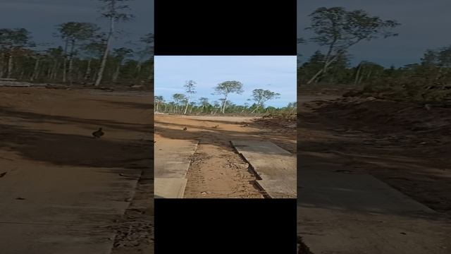 VID20220822140127.mp4