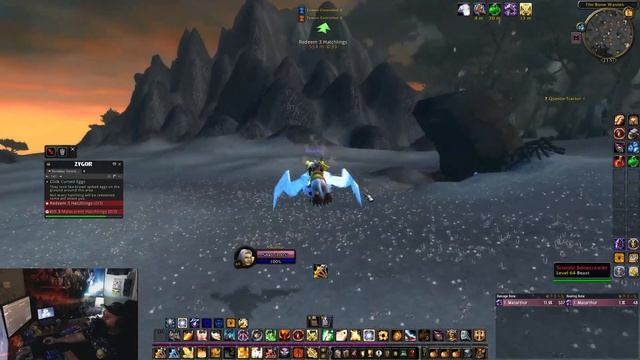 Relax And Let Go With El Paladino Macarthur In The World Of Warcraft: Wrath Of The Lich King. смотреть онлайн