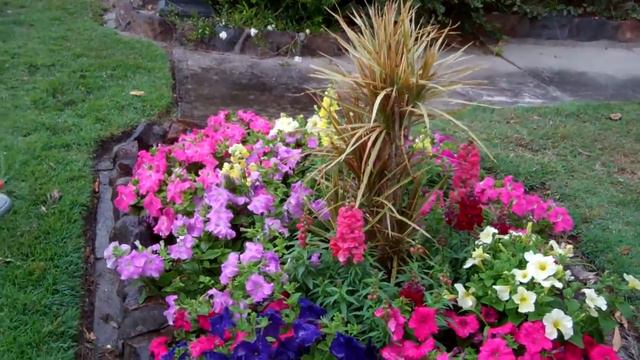 Growing flowers. 3 time saving tips. смотреть онлайн