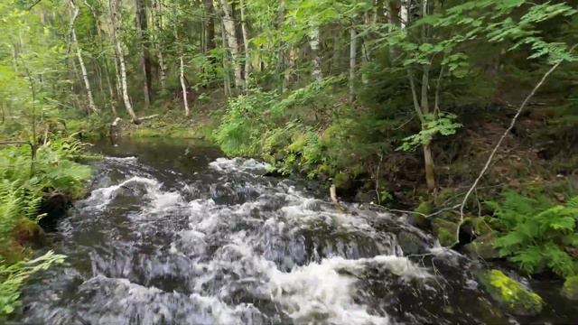 Карелия 2023 смотреть онлайн