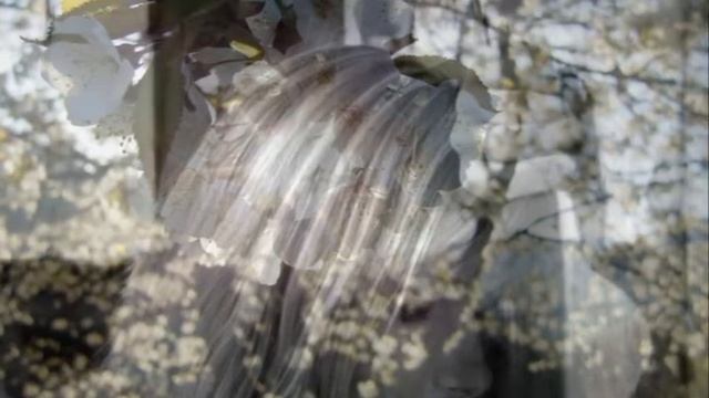 Ирина Отиева"ЗАКЛЯТЬЕ." смотреть онлайн