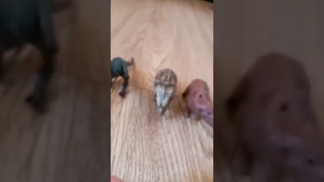 Dinozawrs не судите я не правильно пишу