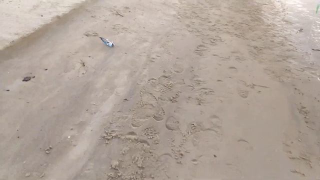 ЗАПОРОЖЬЕ ВОТ ЭТО Радость У Человека смотреть онлайн