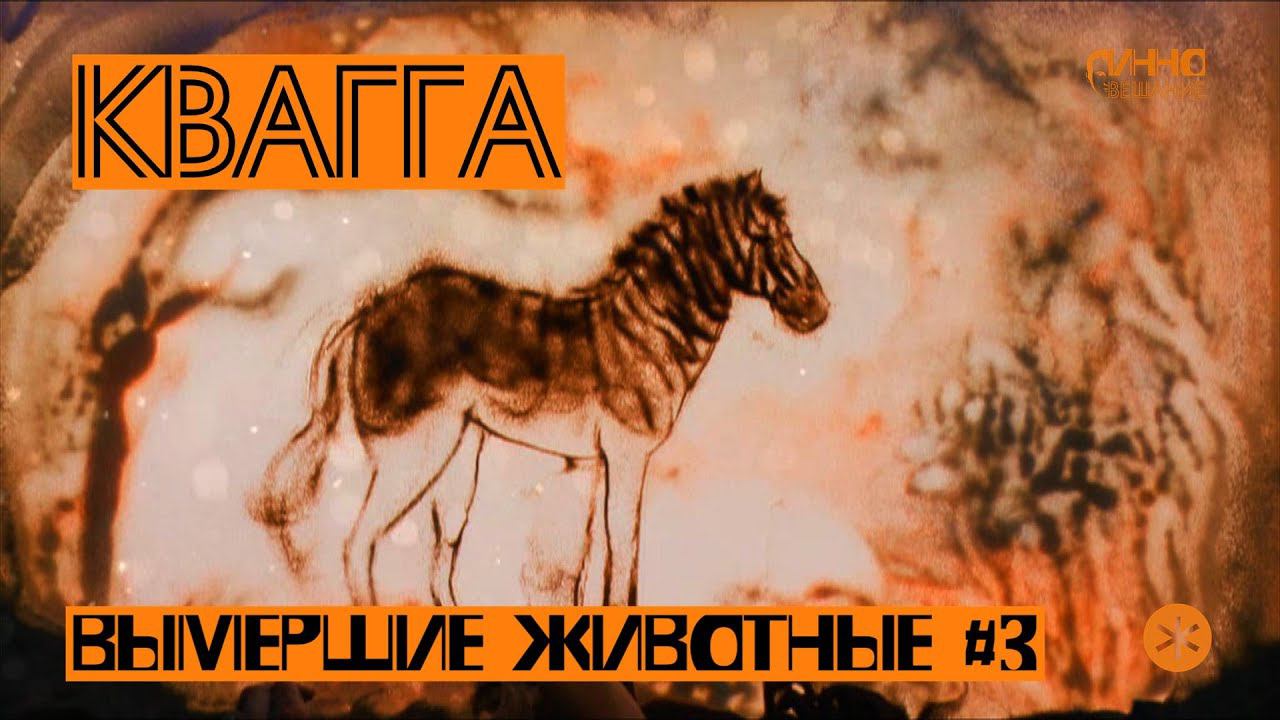 КВАГГА. ВЫМЕРШИЕ ЖИВОТНЫЕ. СЕРИЯ ТРЕТЬЯ. смотреть онлайн