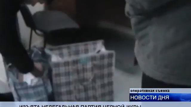 ИЗЪЯТА НЕЛЕГАЛЬНАЯ ПАРТИЯ ЧЕРНОЙ ИКРЫ смотреть онлайн
