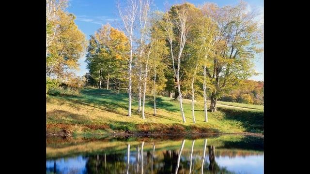 научиться фотографировать мыльницей смотреть онлайн
