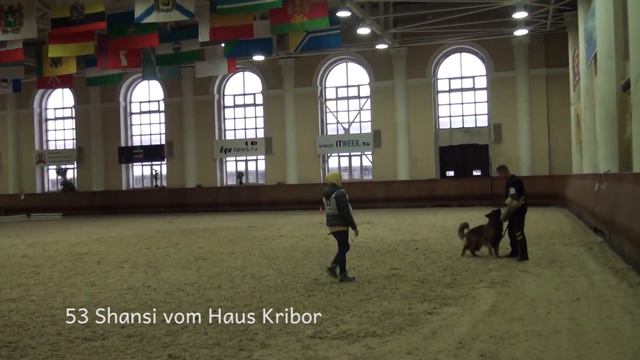 53 Shansi vom Haus Kribor +++ смотреть онлайн