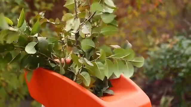 Обзор электрического веткоизмельчителя STIHL GHE 140 L | маг. "Добрий Господар" смотреть онлайн