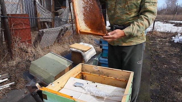 Перга для пчёл после облёта смотреть онлайн