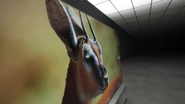 Unboxing LGs Mind Blowing 8K 88-inch OLED Beast