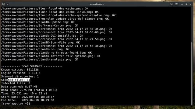 Virus Scanning on Linux - How to Install, Configure, and Scan with ClamAV AntiVirus. смотреть онлайн